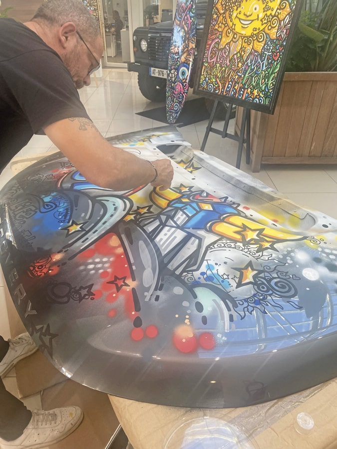My Chic Résidence - peinture sur un Discovery
