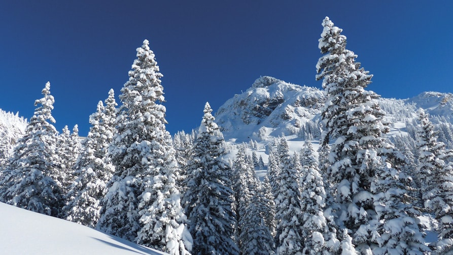 My Chic Résidence - Investir à la montagne : une valeur refuge, un atout cœur